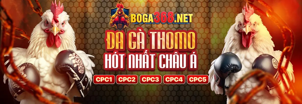 Hình ảnh chính VNDWIN hiện đã mở